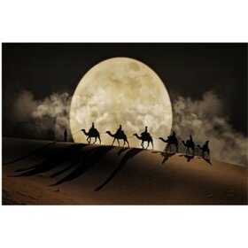 Diamond Painting Kamele in der Wüste