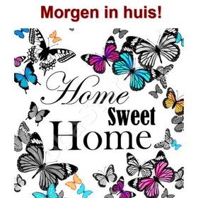 Diamond Painting Home Sweet Home Schmetterlinge 30x30cm