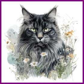 Diamond Painting Katze Maine Coon 01