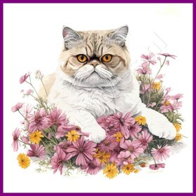 Diamond Painting Katze Exotisch 03