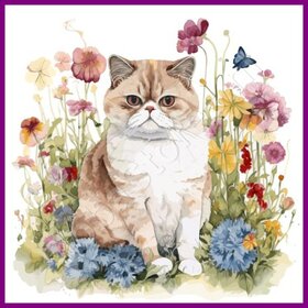 Diamond Painting Katze Exotisch 04
