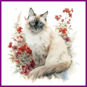 Diamond Painting Katze Heilige Birma 01