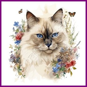 Diamond Painting Katze Heilige Birma 02