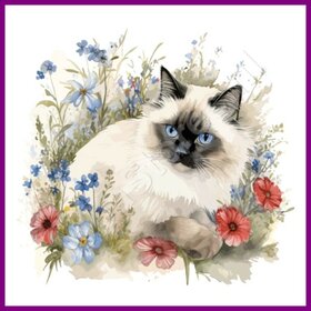 Diamond Painting Katze Heilige Birma 03