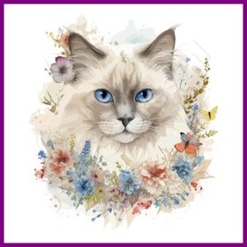 Diamond Painting Katze Heilige Birma 04