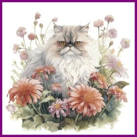 Diamond Painting Katze Persisch 01