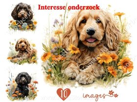 Diamond Painting interesse onderzoek
