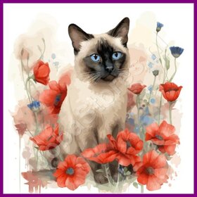 Diamond Painting Katze Siamesische 01