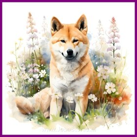 Diamond Painting Akita mit Blumen 01
