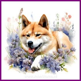 Diamond Painting Akita mit Blumen 02