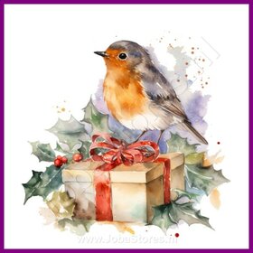 Diamond Painting Rotkehlchen Weihnachten 01