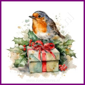 Diamond Painting Rotkehlchen Weihnachten 02