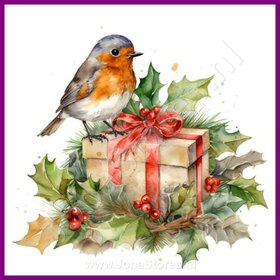 Diamond Painting Rotkehlchen Weihnachten 03