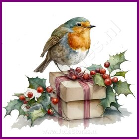 Diamond Painting Rotkehlchen Weihnachten 04