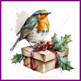 Diamond Painting Rotkehlchen Weihnachten 05