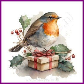 Diamond Painting Rotkehlchen Weihnachten 06