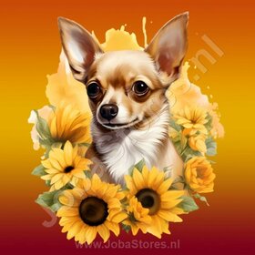 Diamond Painting Chihuahua mit Sonnenblumen