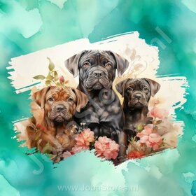 Diamond Painting Aquarell Hund - Bullmastiff 03