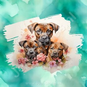Diamond Painting Aquarell Hund - Boxer 03