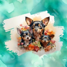 Diamond Painting Aquarell Hund - Chihuahua 02