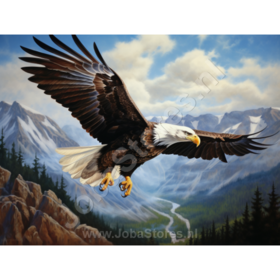Diamond Painting Adler 01