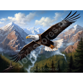 Diamond Painting Adler 06