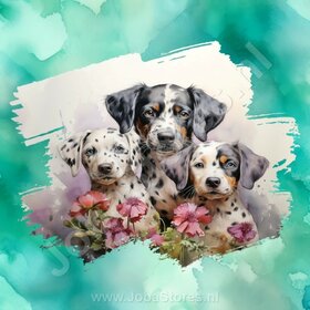 Diamond Painting Aquarell Hund - Dalmatiner 02