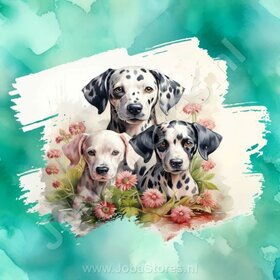 Diamond Painting Aquarell Hund - Dalmatiner 04