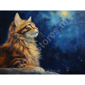 Diamond Painting Sternennacht Katze 03