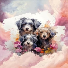 Diamond Painting Aquarell Hund - Havaneser 02
