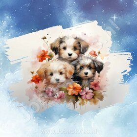 Diamond Painting Aquarell Hund - Havaneser 03