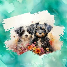 Diamond Painting Aquarell Hund - Havaneser 04