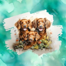 Diamond Painting Aquarell Hund - Irischer Setter 01