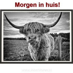 Diamond Painting Scottish Highlander 40x50cm