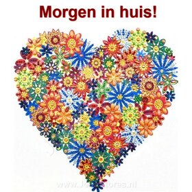 Special Diamond Painting Herz 25x25cm