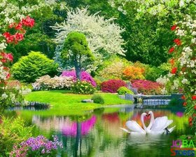 Diamond Painting Garten mit Schwänen 40x50cm