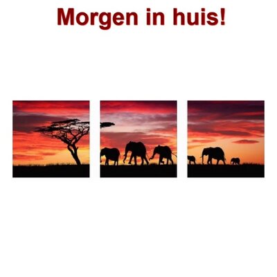 Diamond Painting Olifant 3 luiks 60x20cm