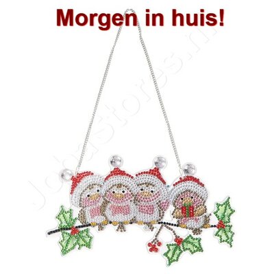 Diamond Painting Hängende Weihnachtskugel Vögel mit Weihnachtsmütze (22cm)